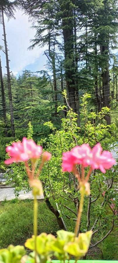 The Doors Inn Manali  Exterior photo